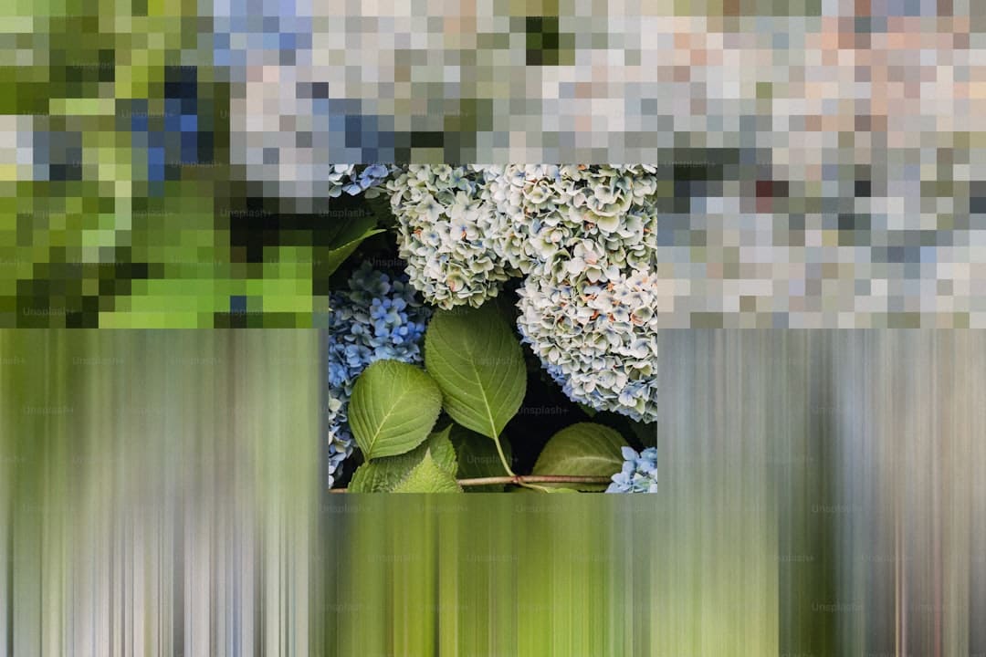 研究人员在华南及中南半岛发现田螺科1新属10新种